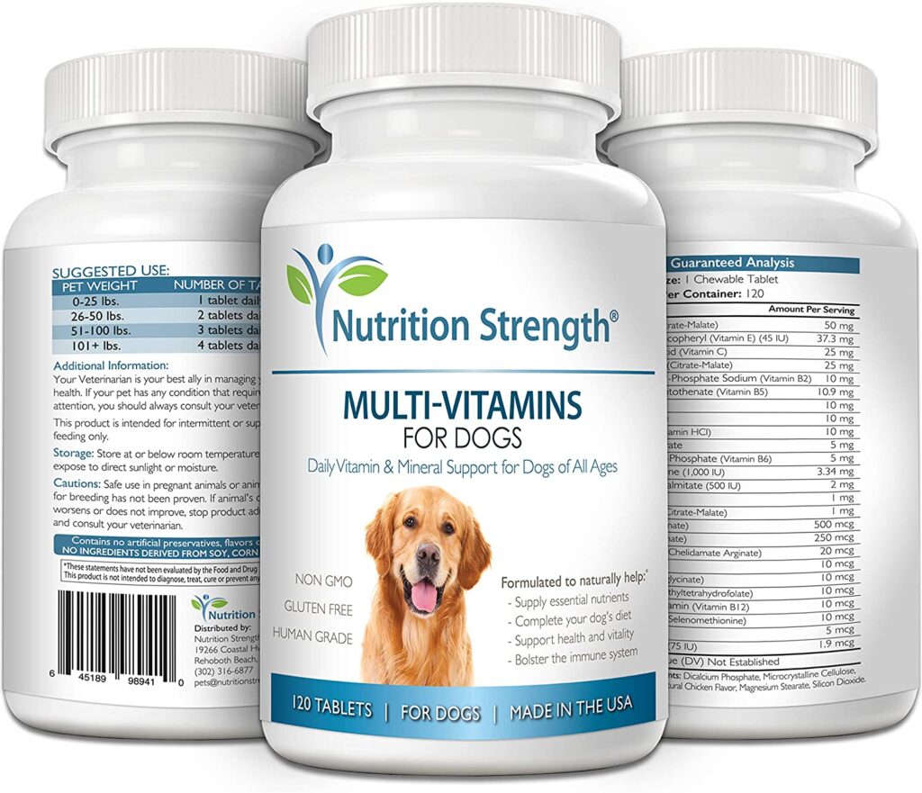 Multivitamins for Dogs What Your Pet Actually Needs Nutrition Strength